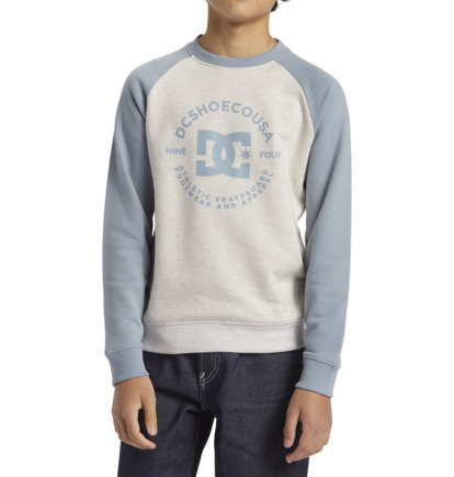 White / Blue Kids' DC Shoes DC Star Pilot Sweatshirts | DC-4512860