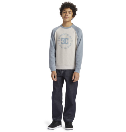 White / Blue Kids' DC Shoes DC Star Pilot Sweatshirts | DC-4512860