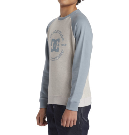 White / Blue Kids' DC Shoes DC Star Pilot Sweatshirts | DC-4512860