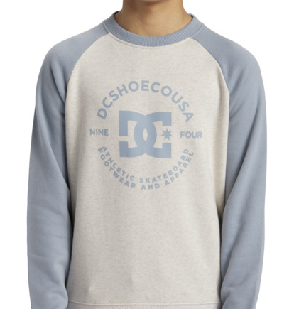 White / Blue Kids' DC Shoes DC Star Pilot Sweatshirts | DC-4512860