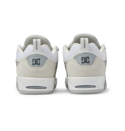 White / Grey Men DC Shoes Truth OG Skate Shoes | DC-7264390